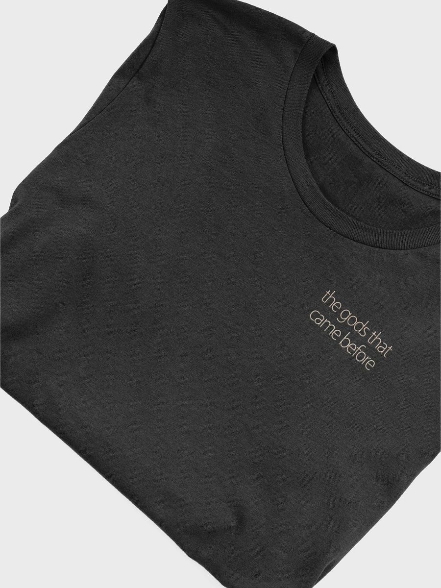 tgtcb logo tee product image (4)