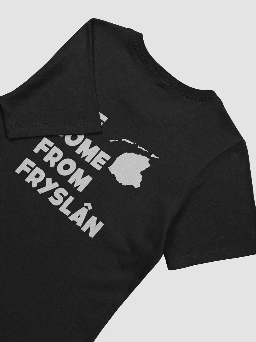 We Come From Fryslân - Women's Tee product image (4)