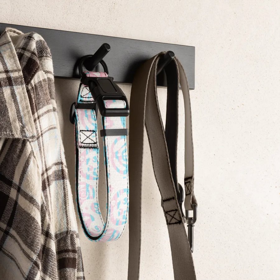 a cute collar, L product image (4)