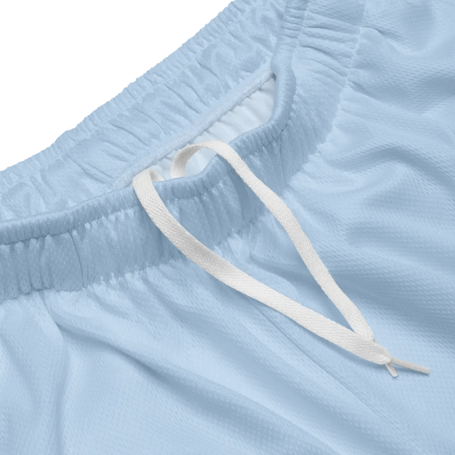 Striped Skyline Recycled Mesh Shorts product image (3)