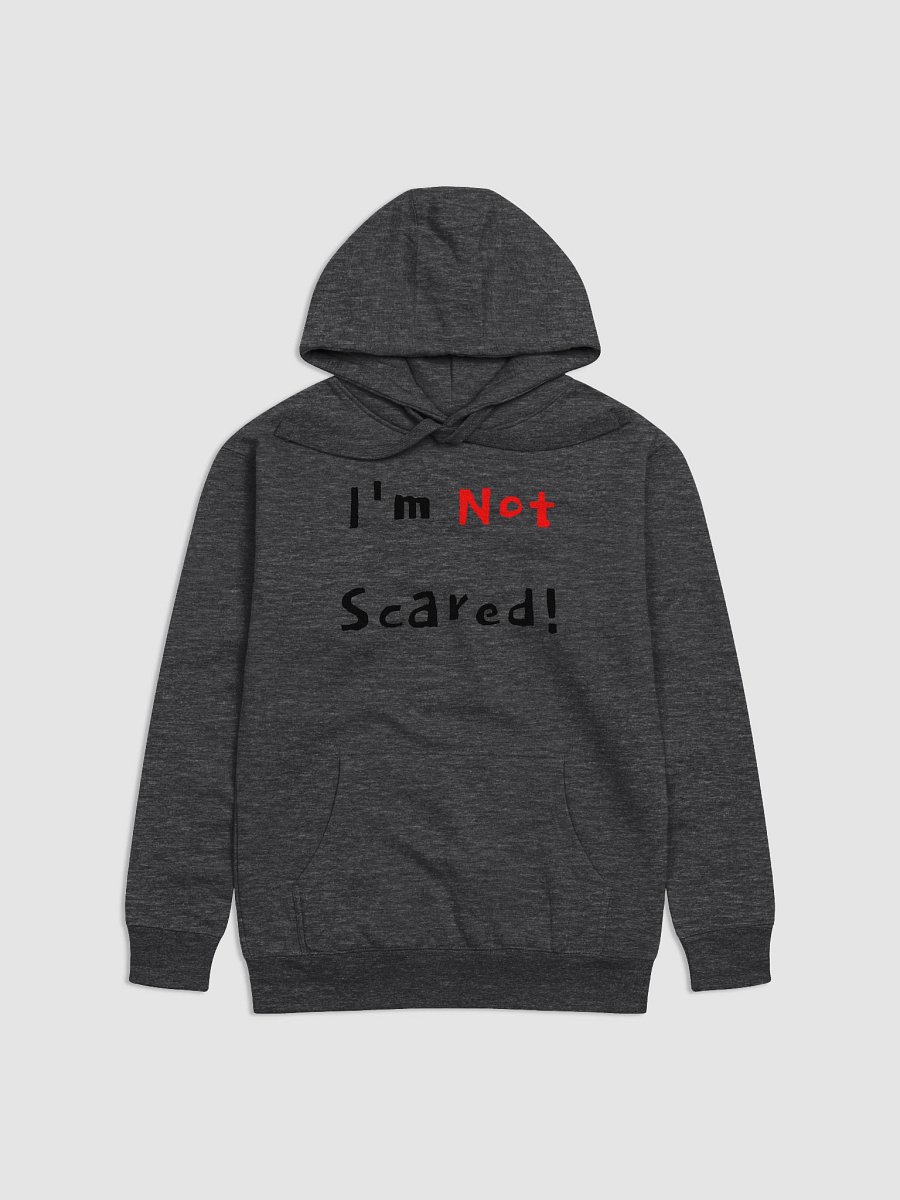 I'm Not Scared Premium Hoodie product image (2)