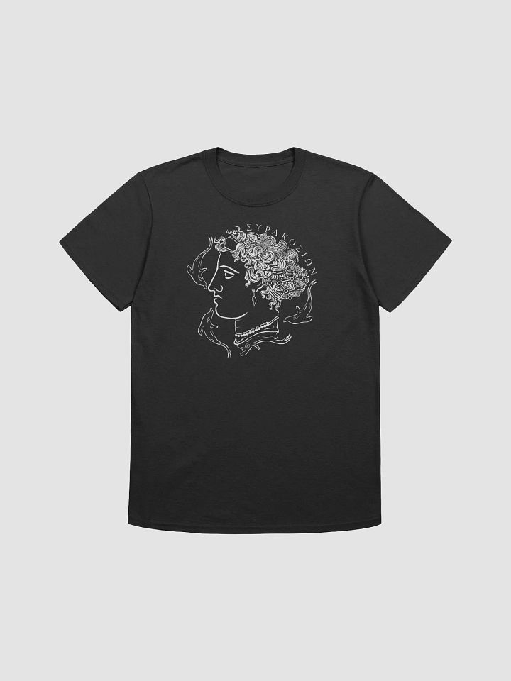 Syracuse Dekadrachm product image (2)