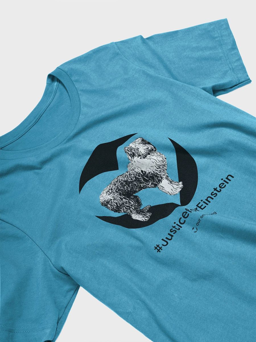 Premium #JusticeforEinstein Unisex Supersoft T-shirt product image (43)