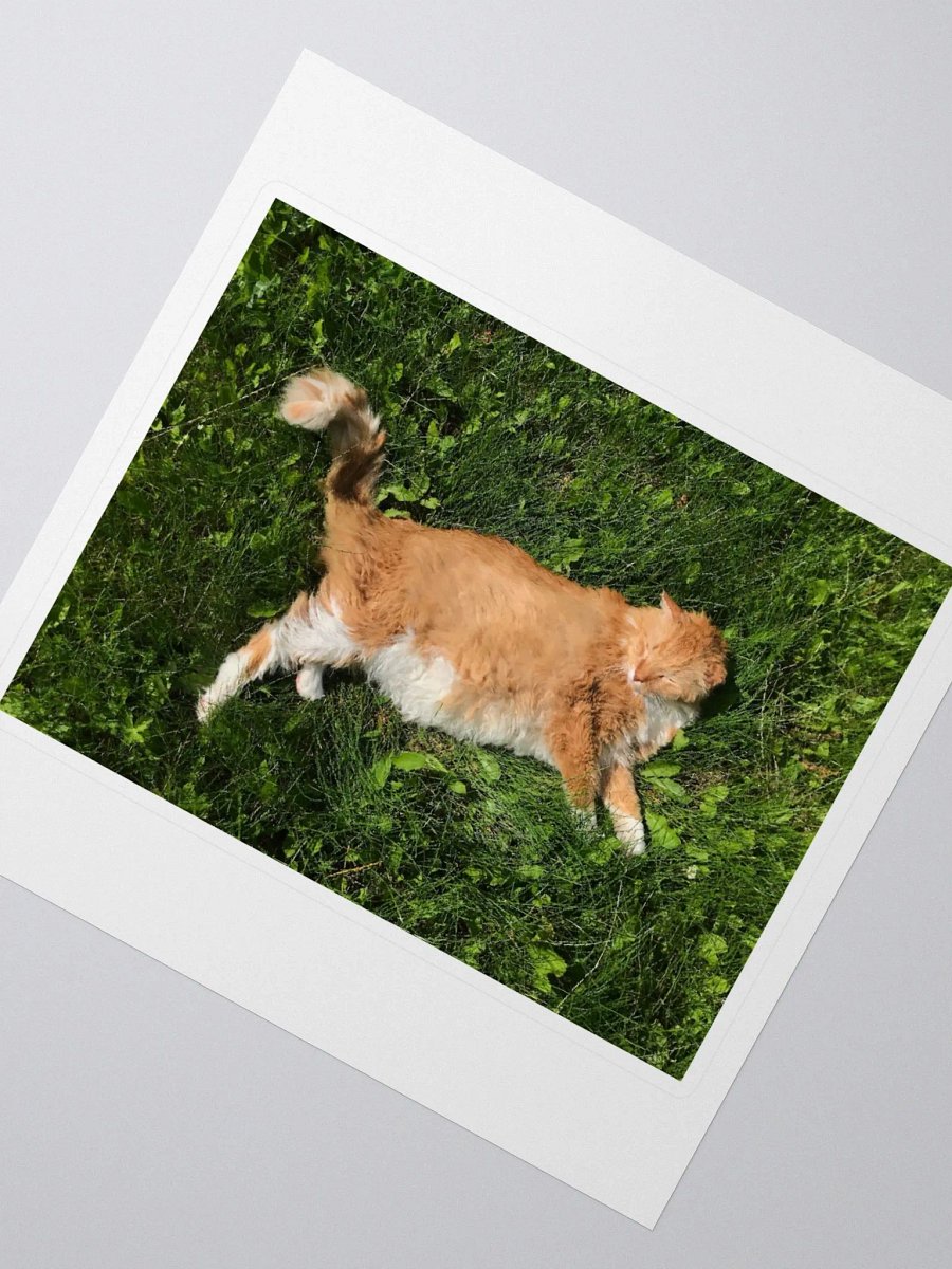 Sun Bathing Boy Sticker product image (2)
