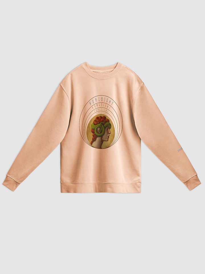 KASSANDRA FORESIGHT pigment dyed sweatshirt product image (3)