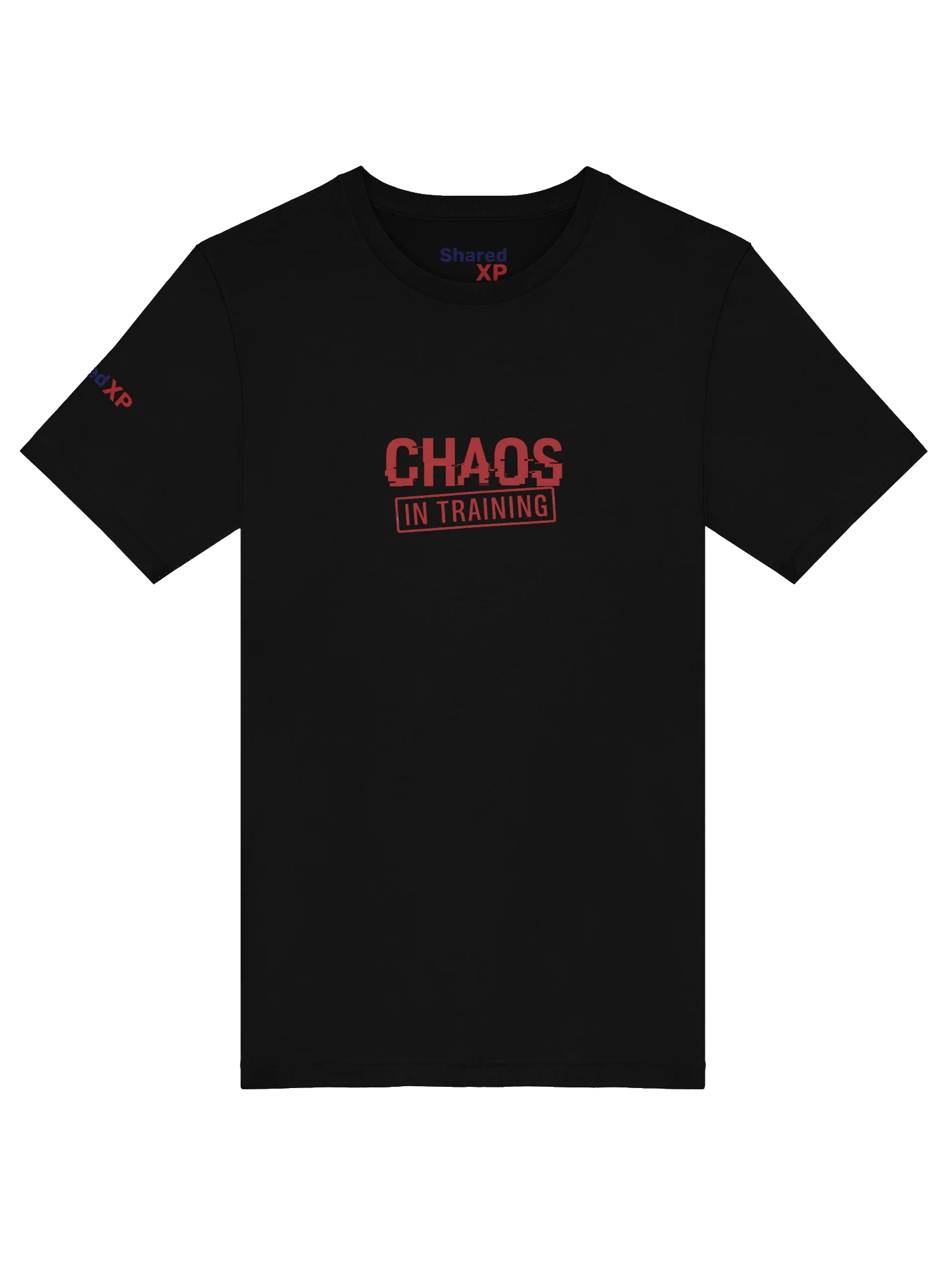 Chaos in Training T-Shirt product image (54)