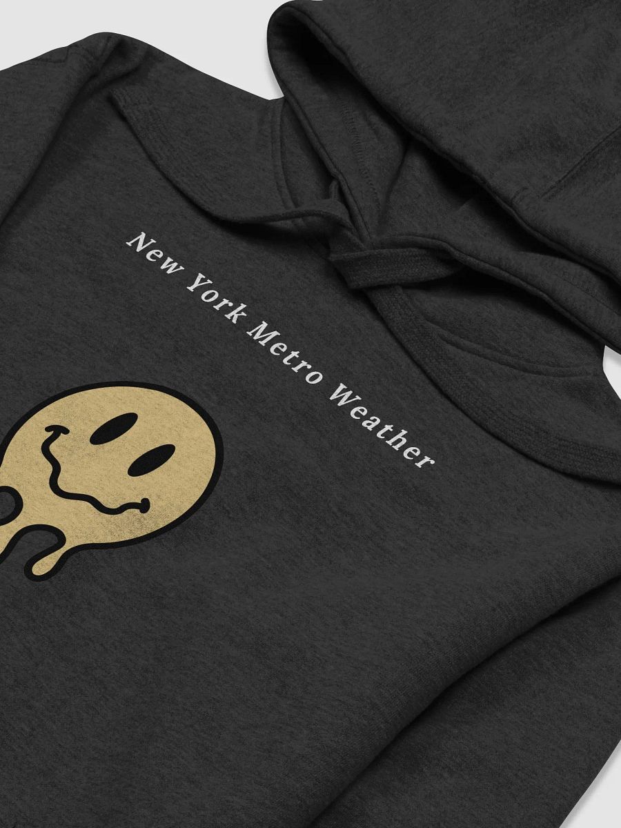 NYMW Black Seasons Hoodie product image (3)