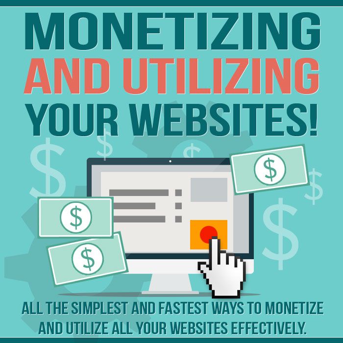 Monetizing and Utilizing Your Websites product image (2)