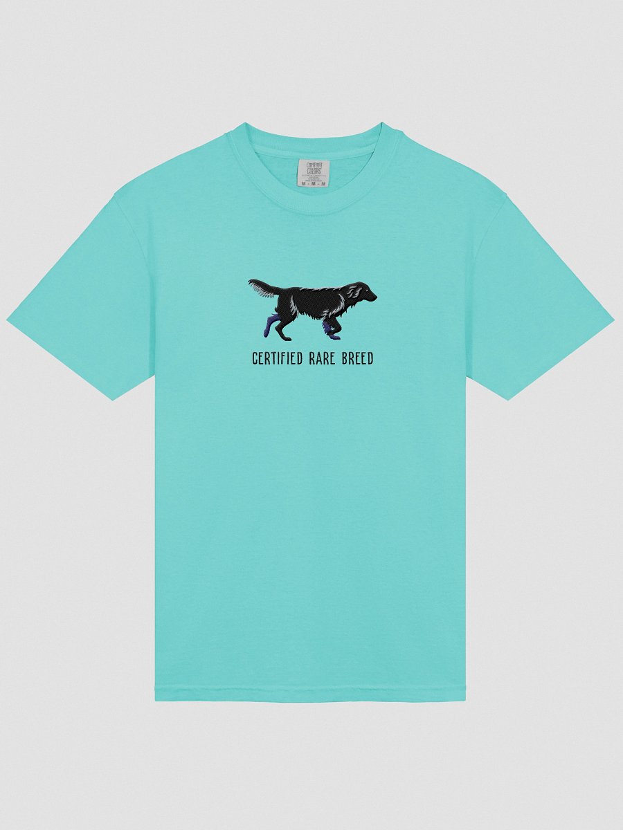 Certified Rare Breed T-Shirt(Embroidered) of a Flat-Coated Retriever(Black) product image (33)