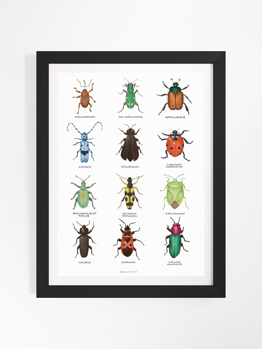 Framed Insects product image (1)