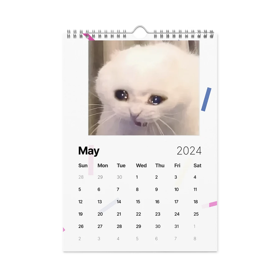 Wall Calendar (2024): Meme Cats product image (14)