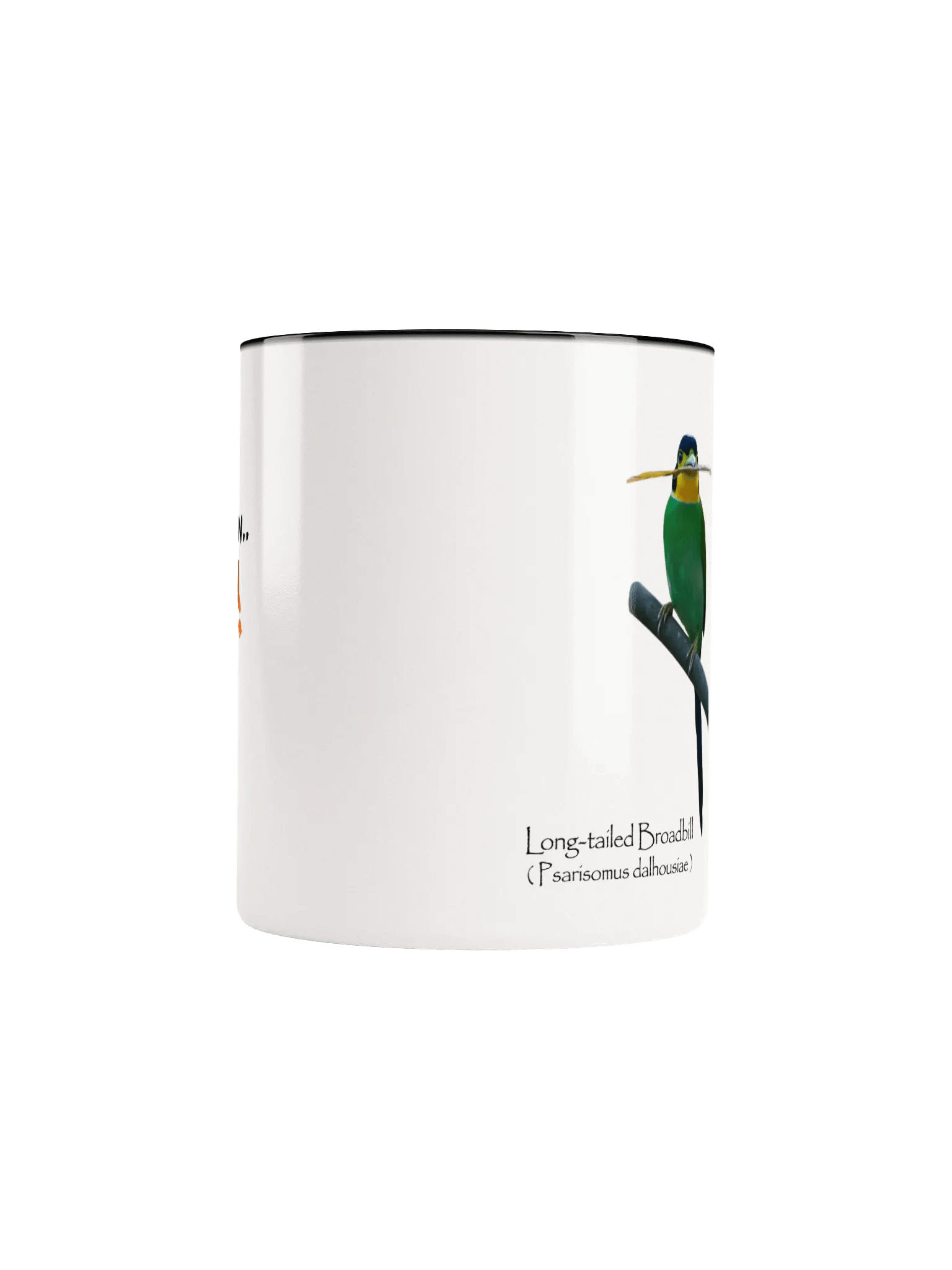Long-tailed Broadbill mug. product image (5)