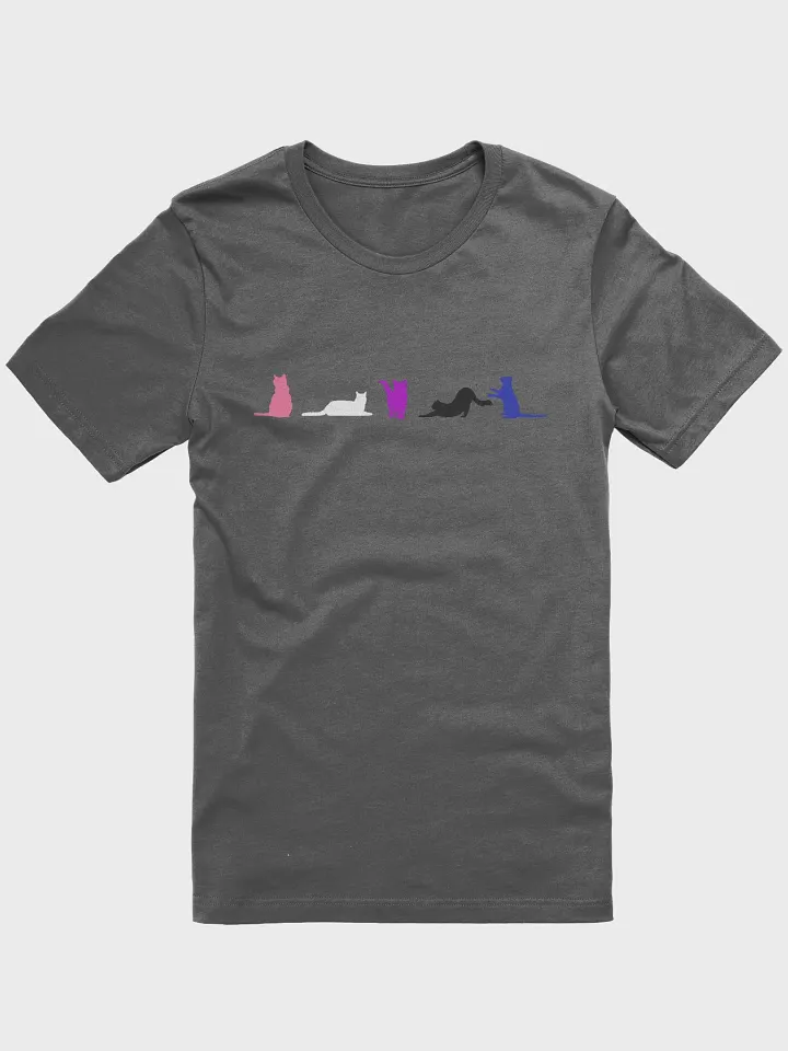 Genderfluid Pride Cats Women's Shirt product image (7)