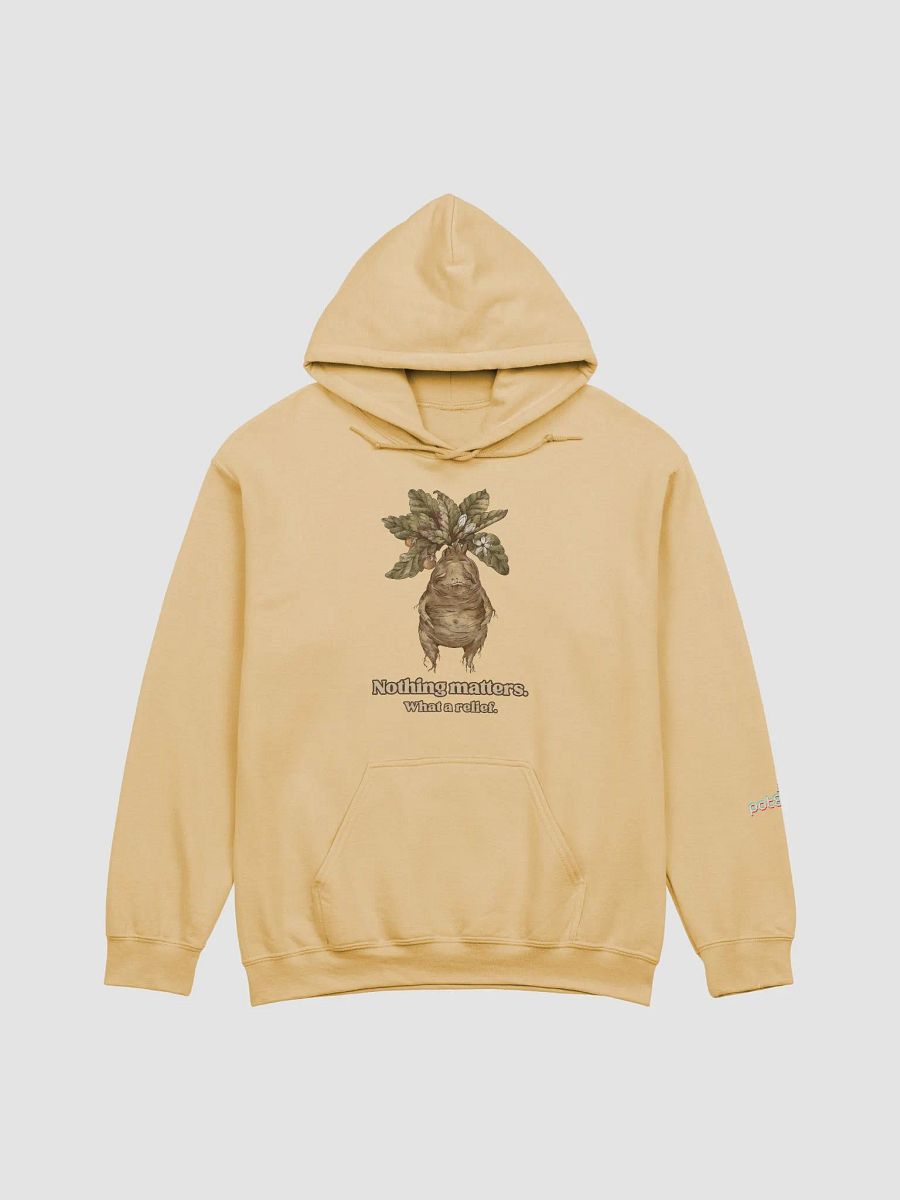 NOTHING MATTERS classic hoodie product image (55)