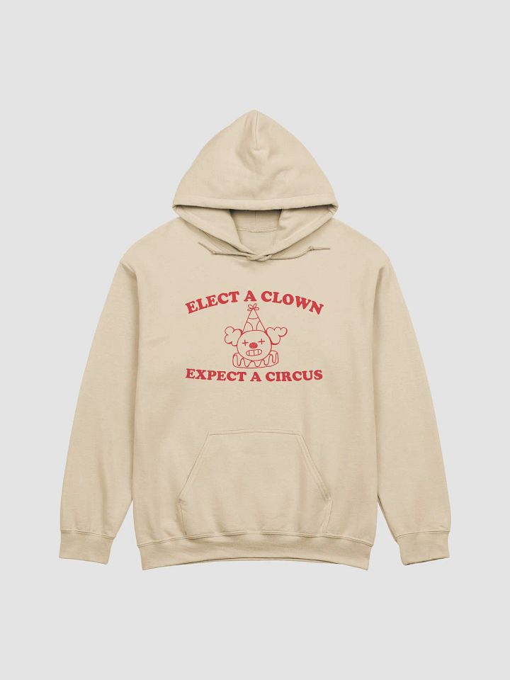 Elect a clown expect a circus Hoodie product image (4)