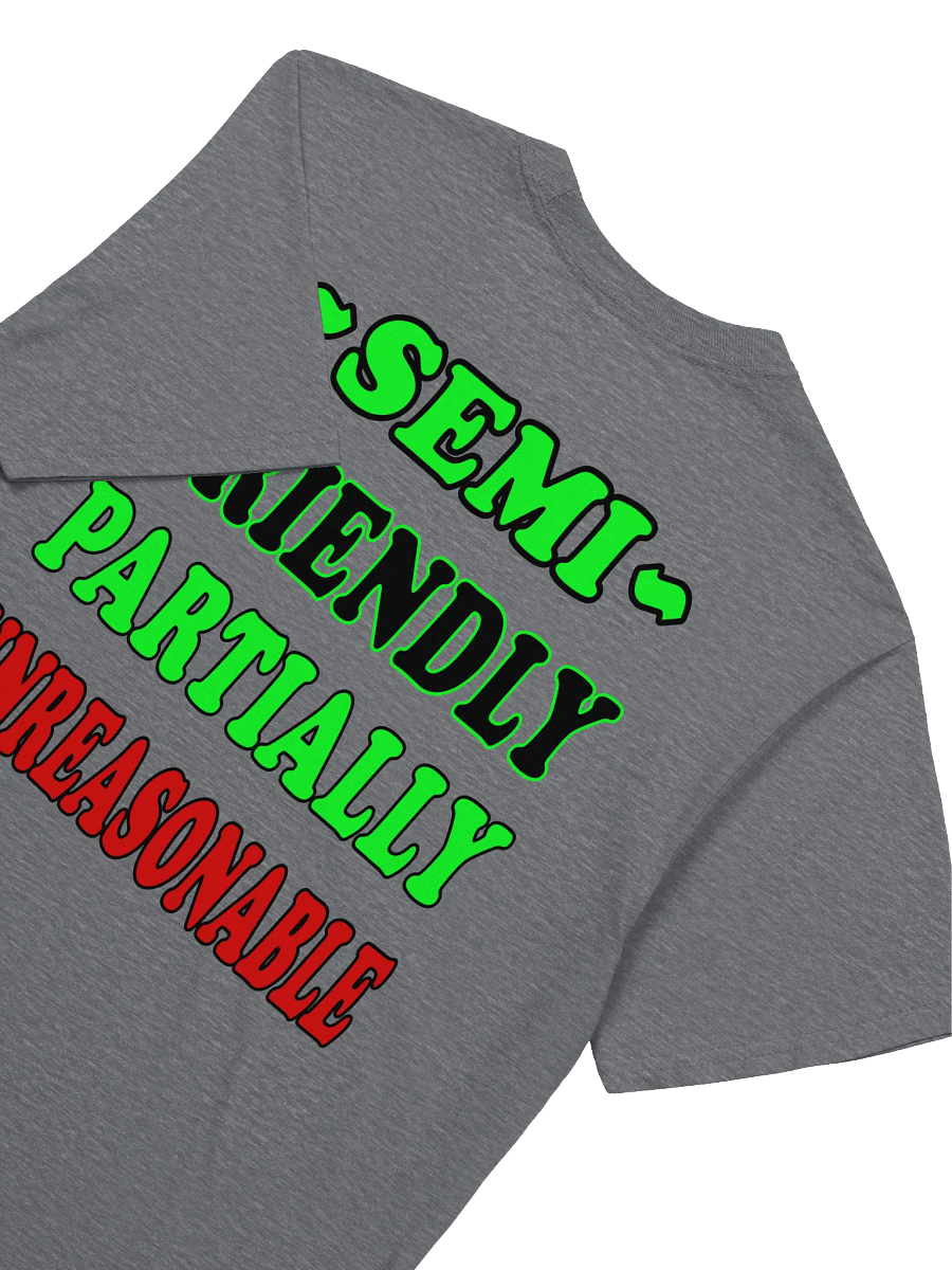 SEMI FRIENDLY TEE product image (6)