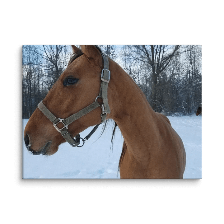 Winter Majesty Canvas product image (14)