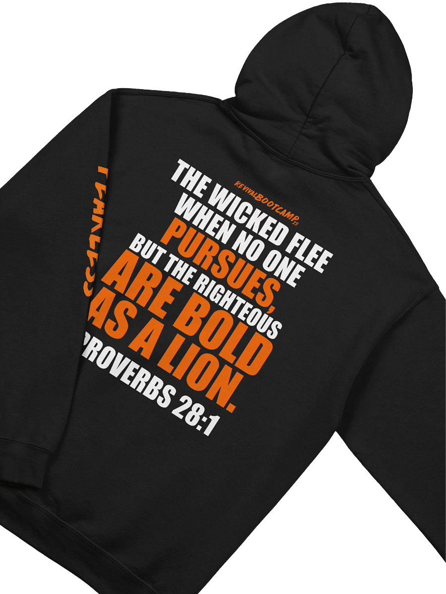 Jesus Hoodie - Fearless 2025 product image (4)