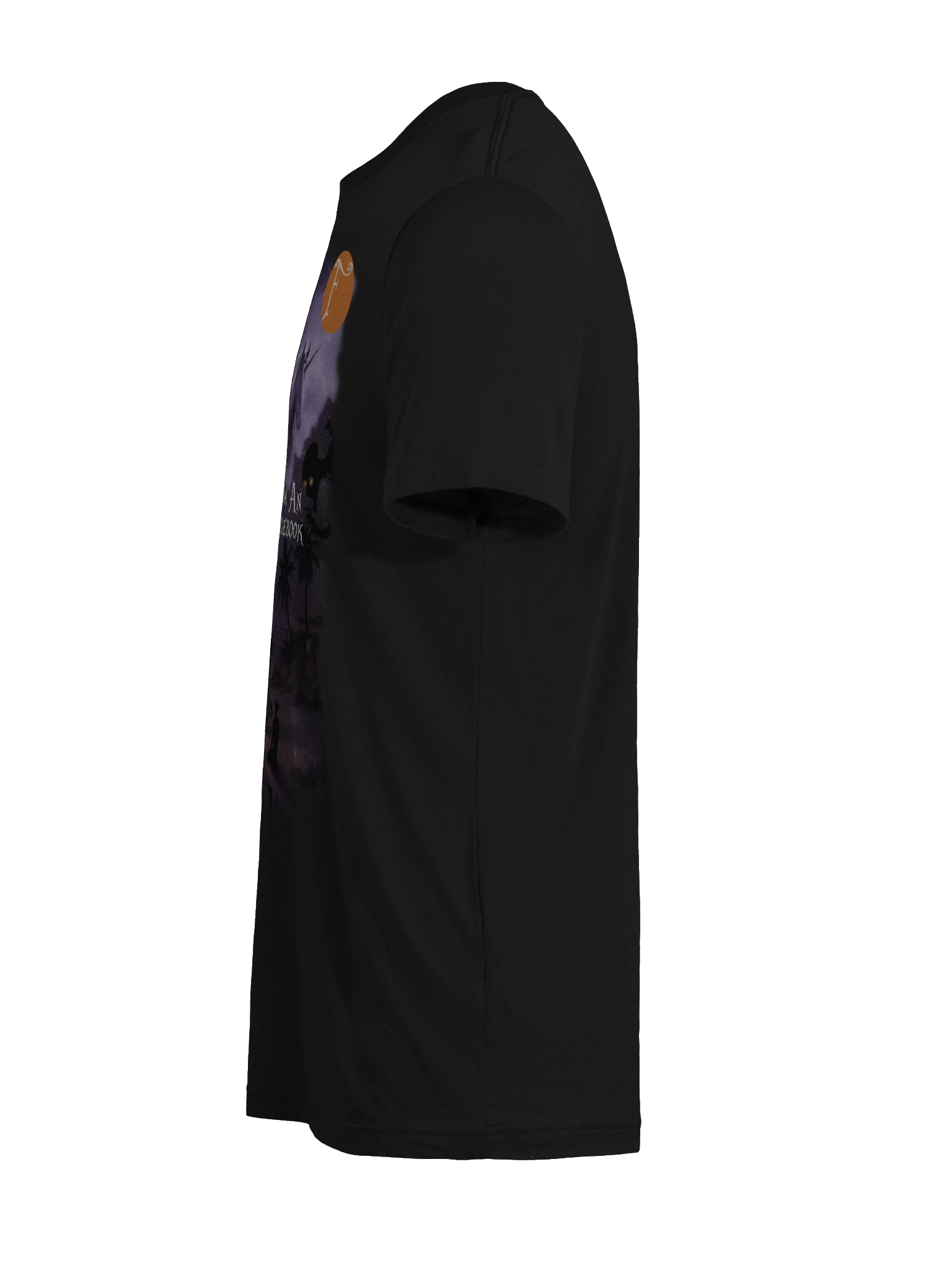 Excerpts from an Unknown Guidebook - Adult Bella+Canvas Triblend Short Sleeve T-Shirt product image (11)