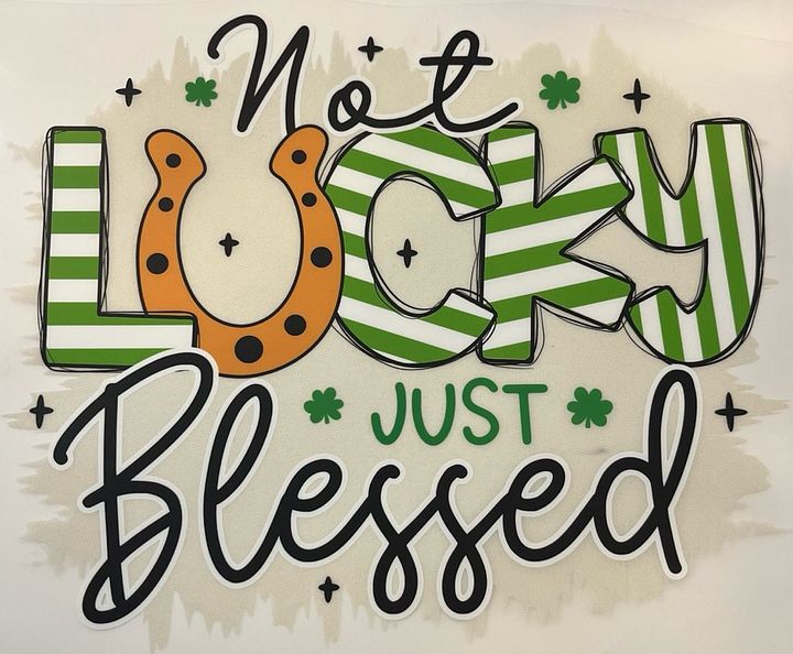 Not Lucky Just Blessed Printing quality shirts for adults product image (1)