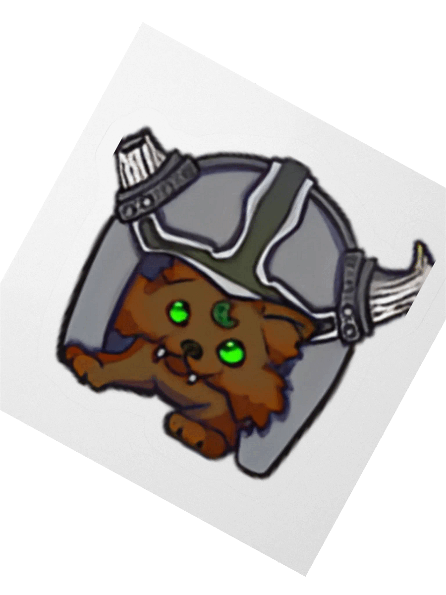 Raider in Training product image (6)