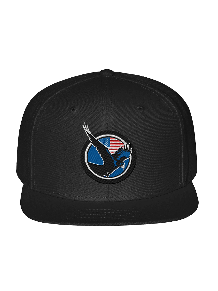 NRVN MILITARY AIR FORCE APPRECIATION HAT - 2025 product image (2)
