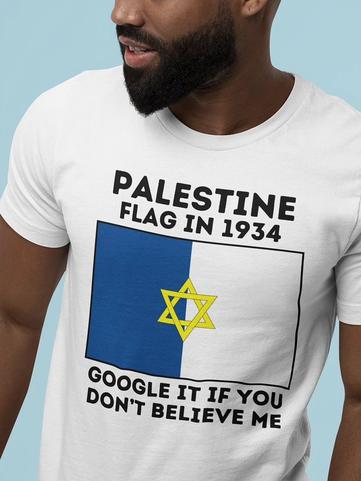 The Real Flag of Palestine product image (1)