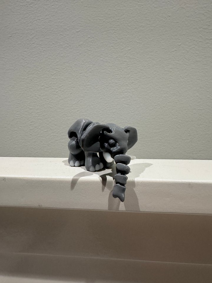 Excitable Elephant product image (1)