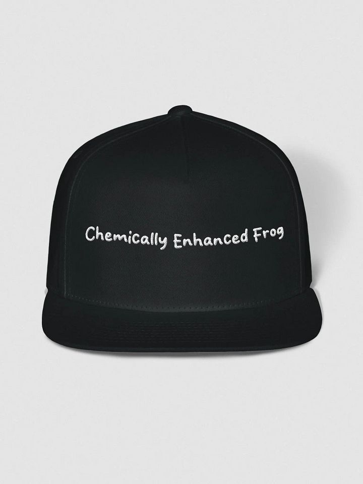 Phrogie Pride Snapback product image (1)