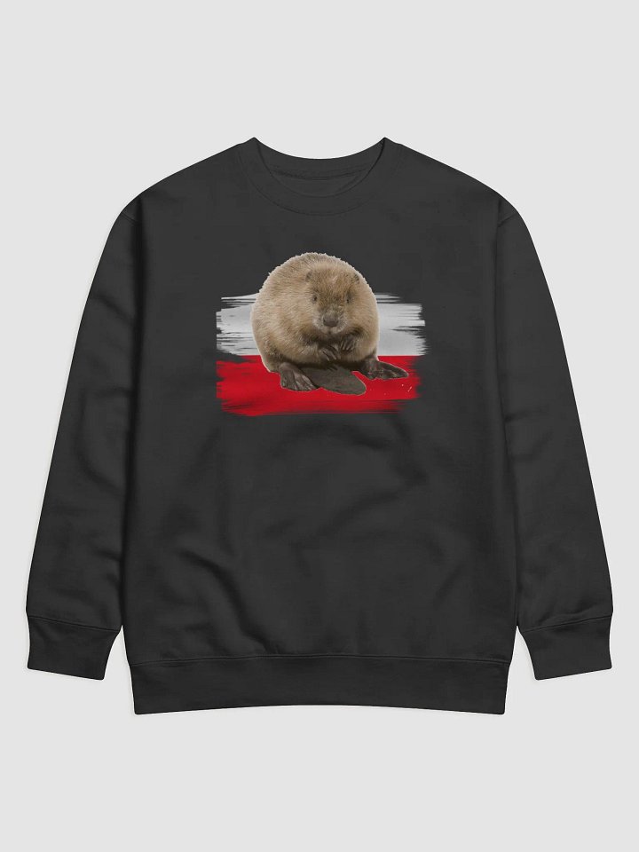 bobr sweater product image (1)
