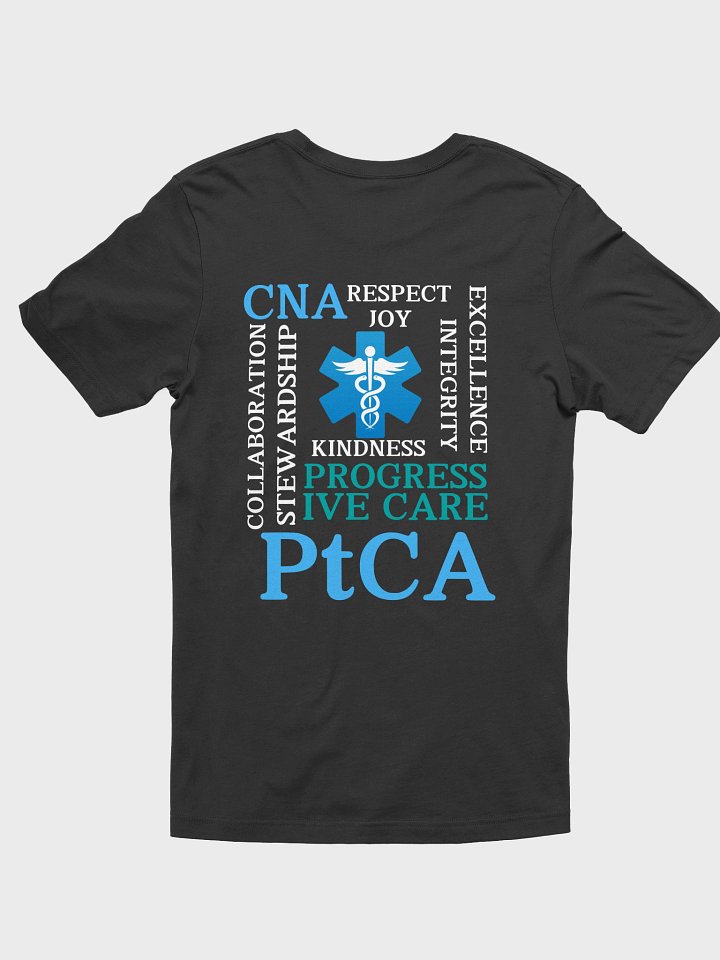 PtCA Values product image (22)