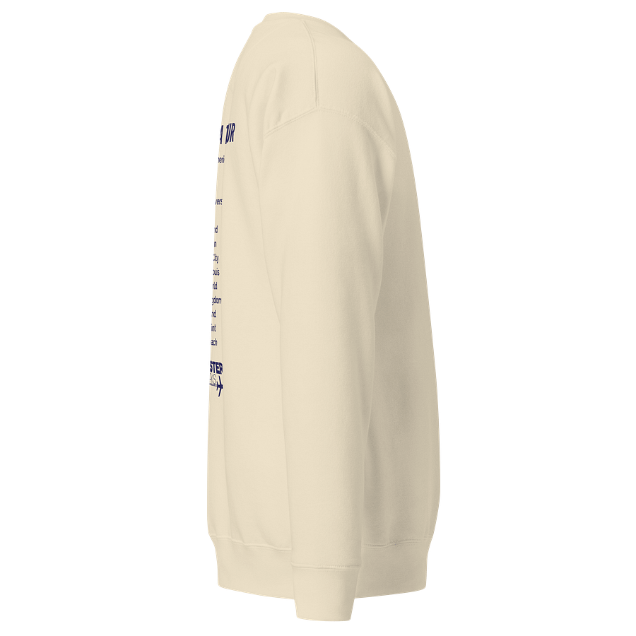Central USA Square Logo Sweatshirt - Light Colours product image (10)