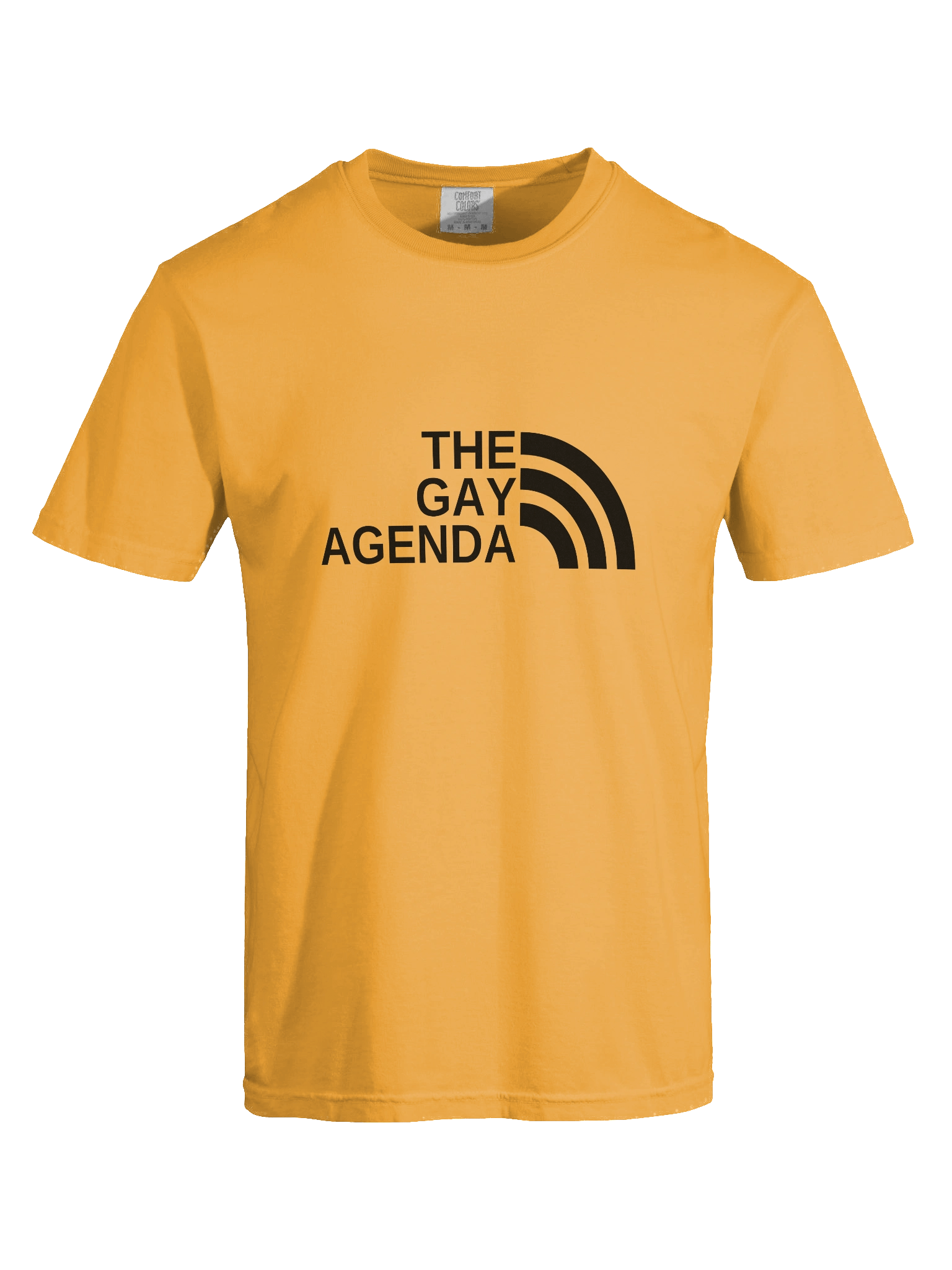 THE GAY AGENDA (Light Mode) - Tee product image (64)