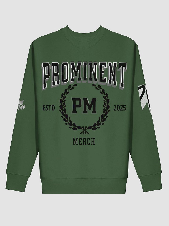 Prominent Merch Varsity Premium Sweatshirts product image (6)