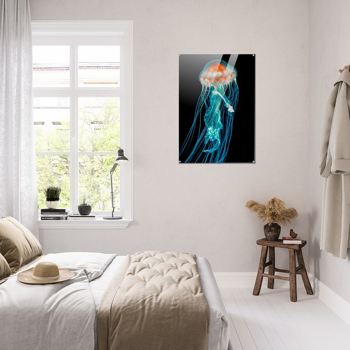 SINGLE JELLY FISH HIGH CONTRAST ACRYLIC PRINT product image (2)