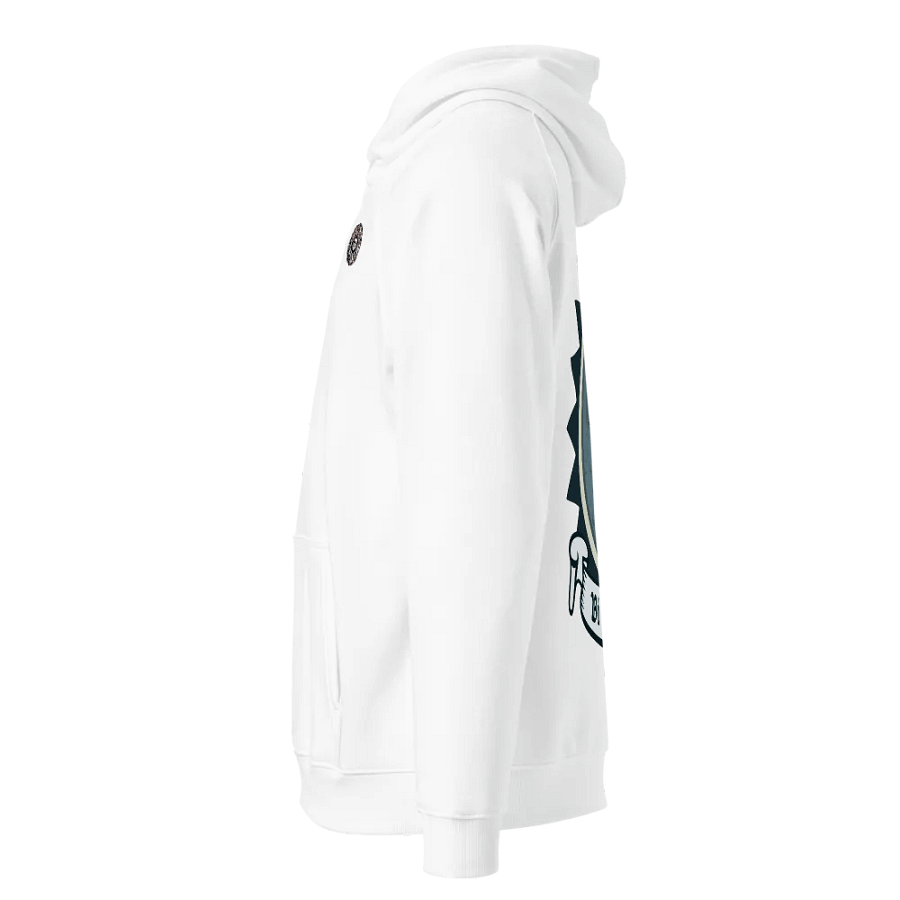 Sionnach Bí Ullamh SOL'S Eco Raglan Cochaill (Back Patch) product image (3)