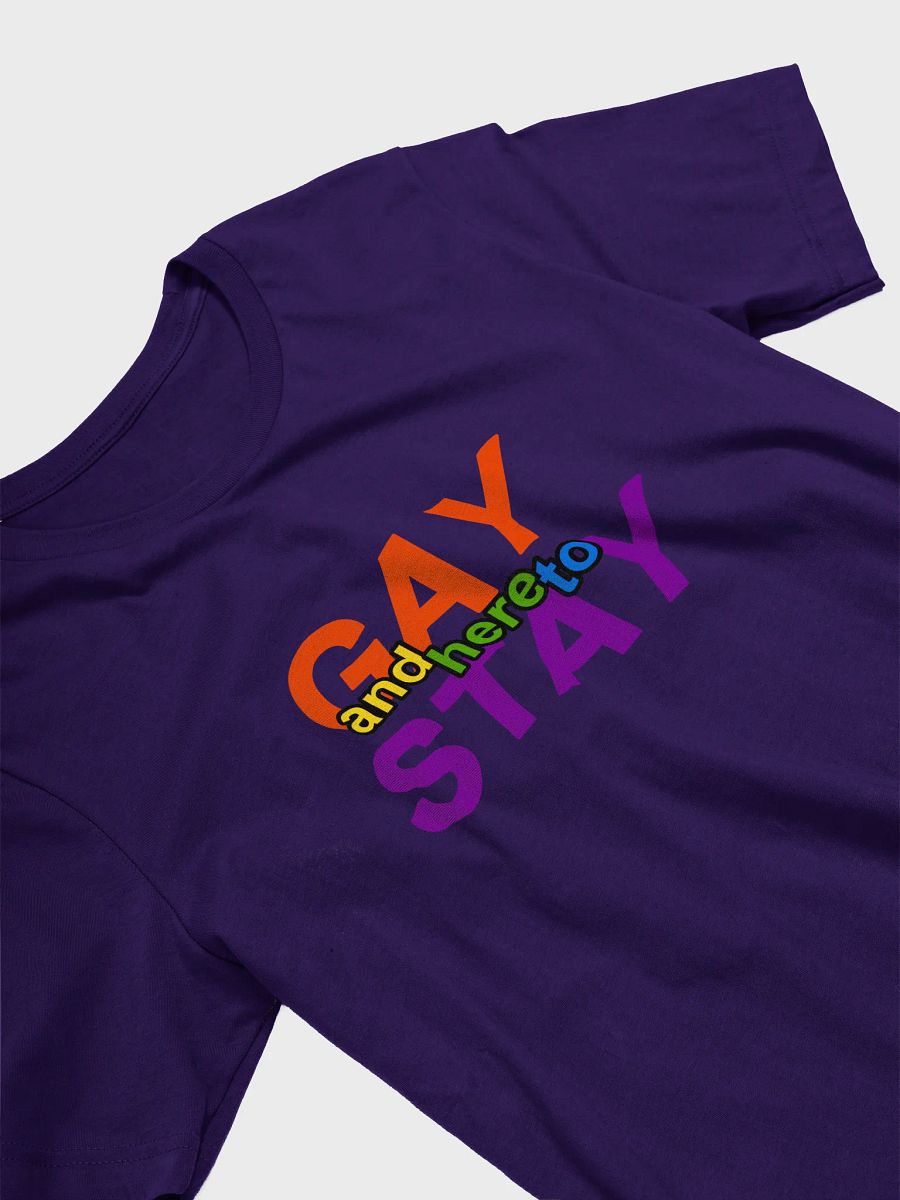 gay and here to stay (rainbow) t-shirt product image (3)