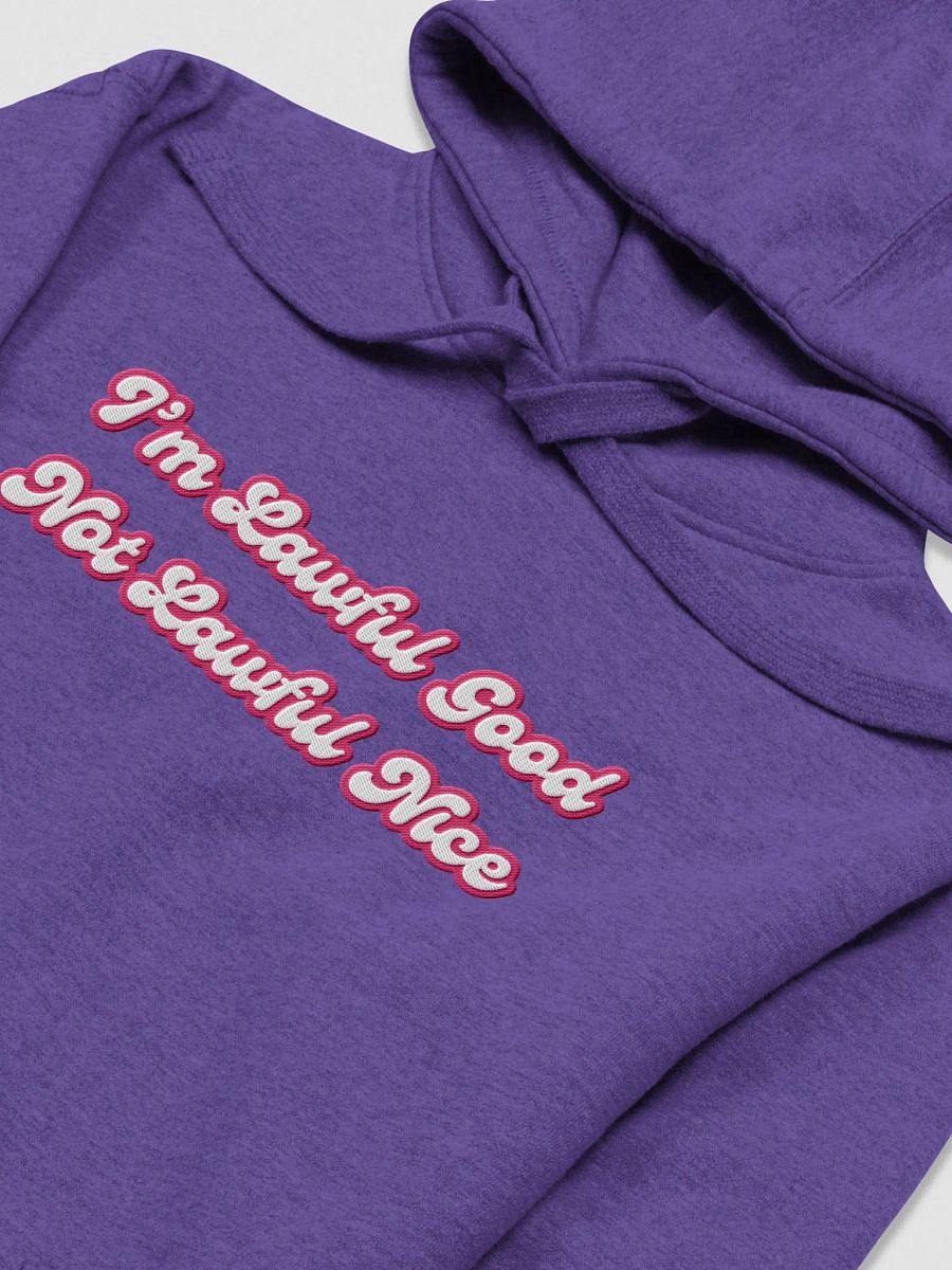 Lawful Good Hoodie product image (13)
