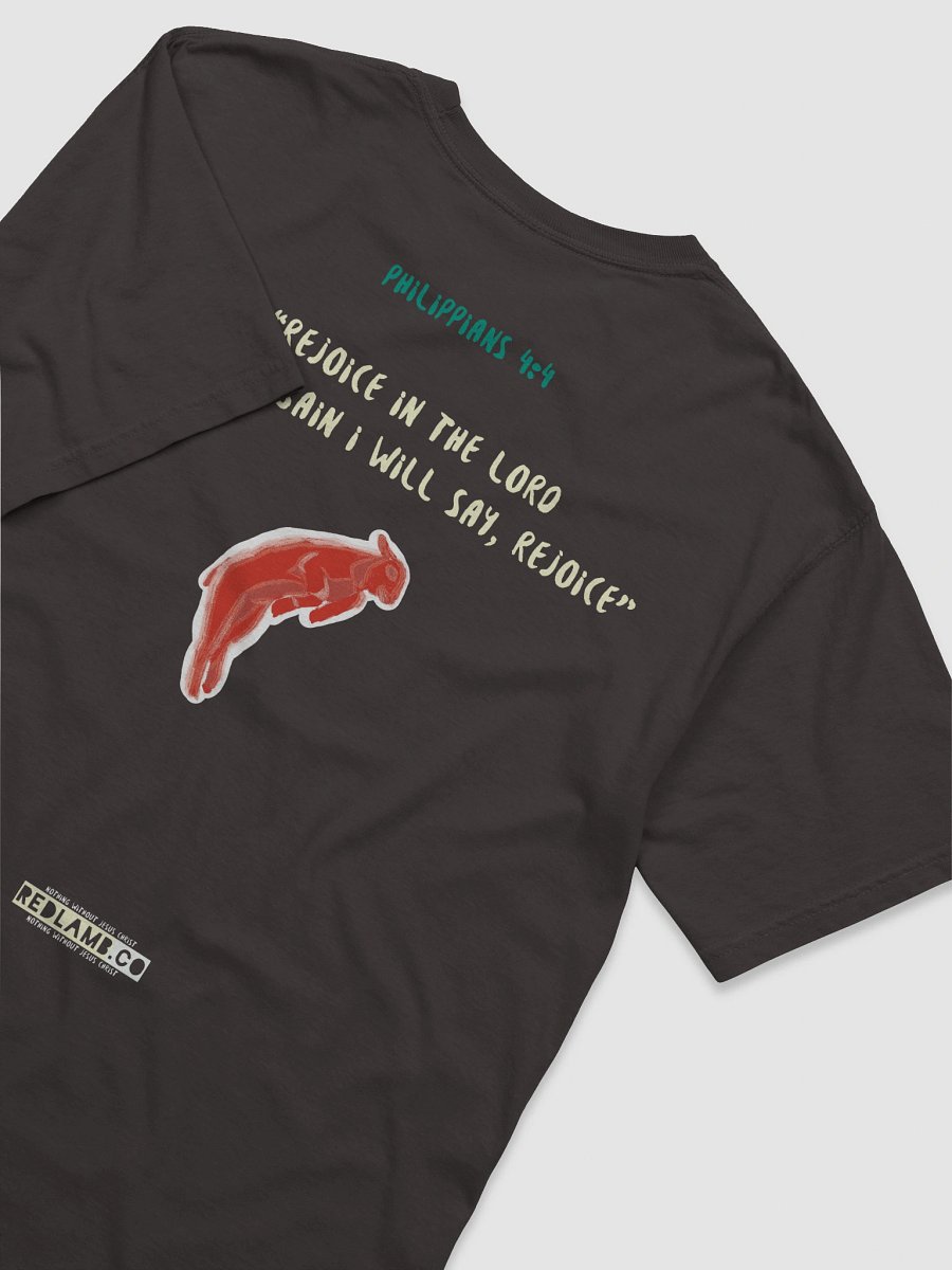 Leap for joy Unisex Tee product image (16)