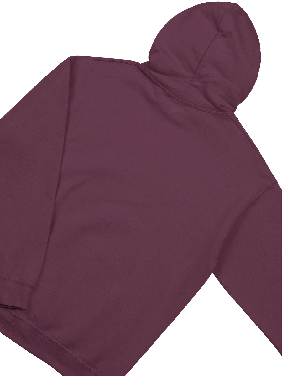 Whimsical Wicca Unisex Hoodie - Axolotl product image (39)