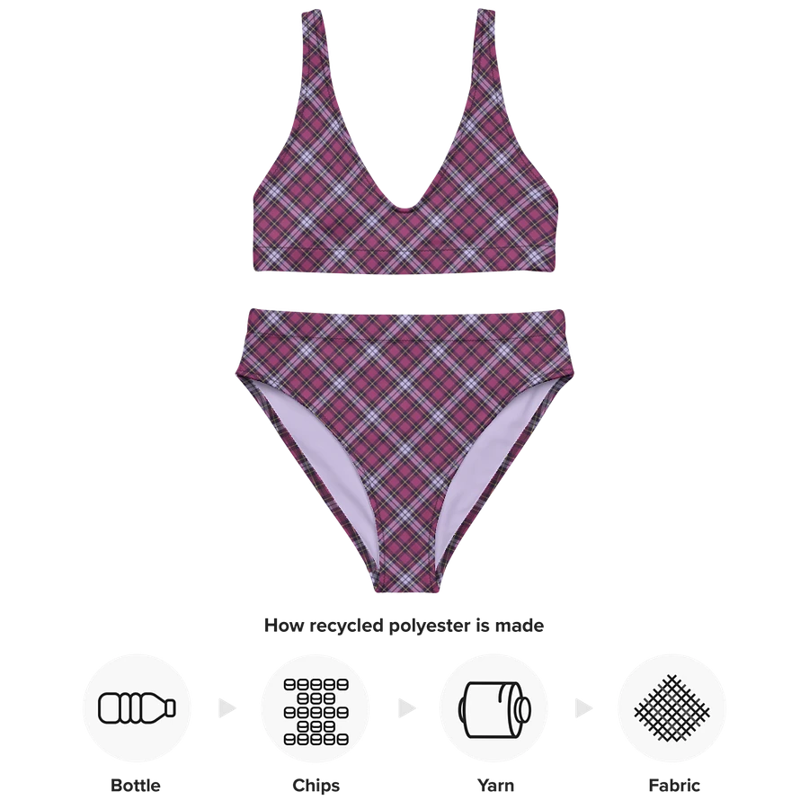 Bright Purple Plaid Bikini product image (10)