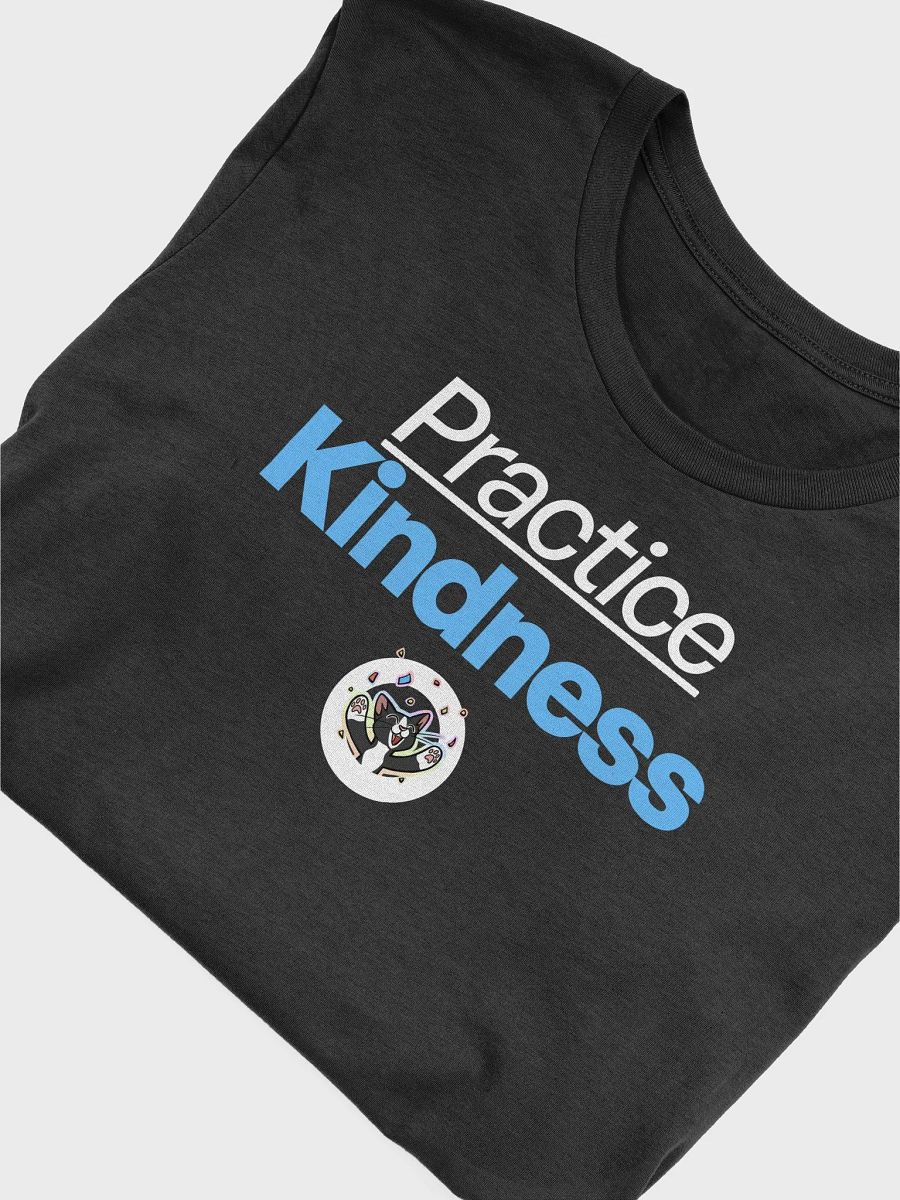Practice Kindness Tee product image (3)