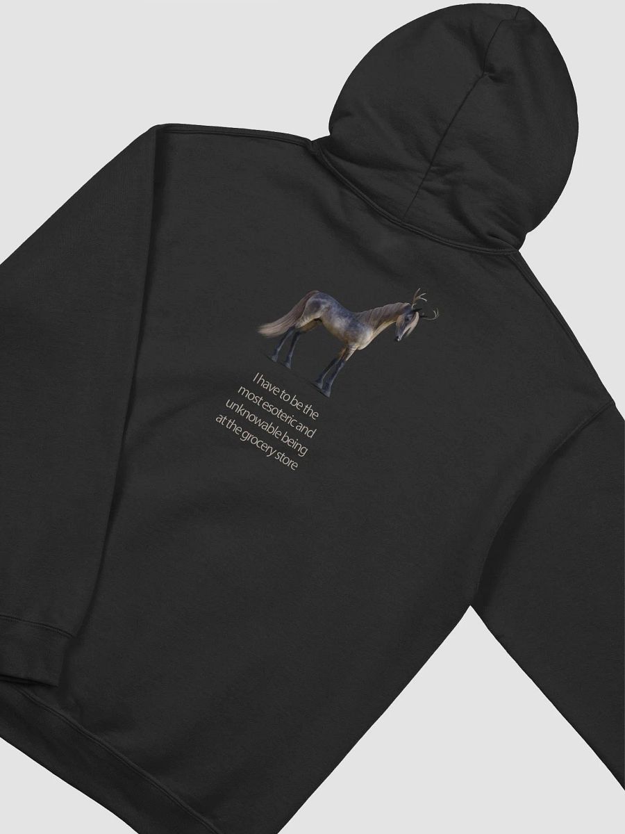 'I Have To Be The Most Esoteric Being...' Hoodie product image (3)