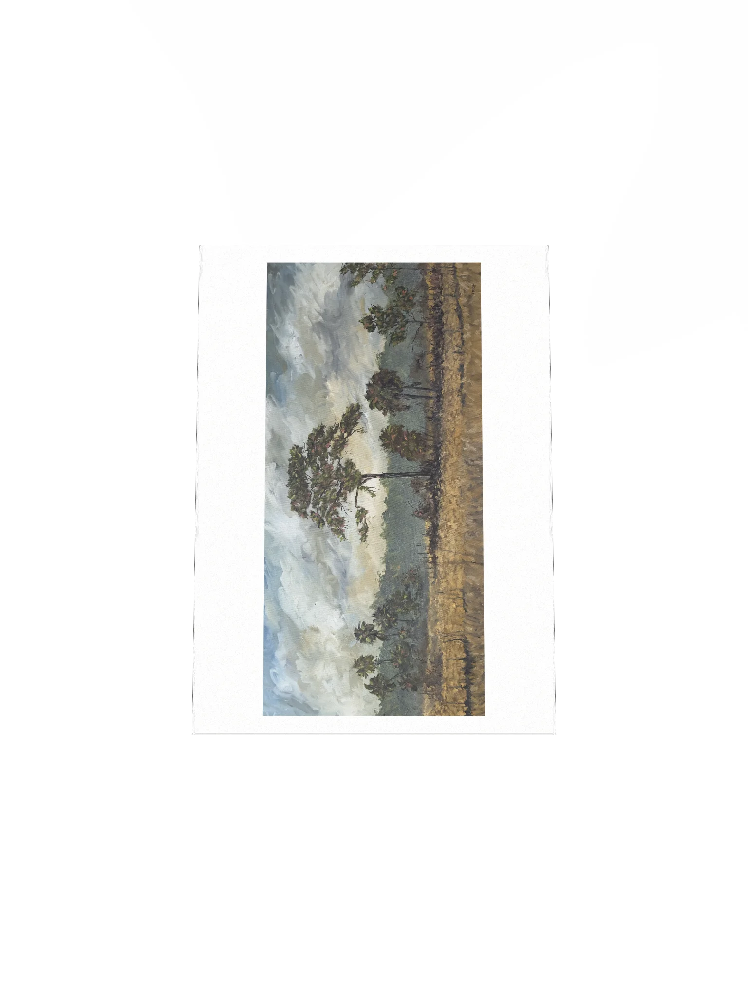 Big Cypress National Preserve Print product image (4)