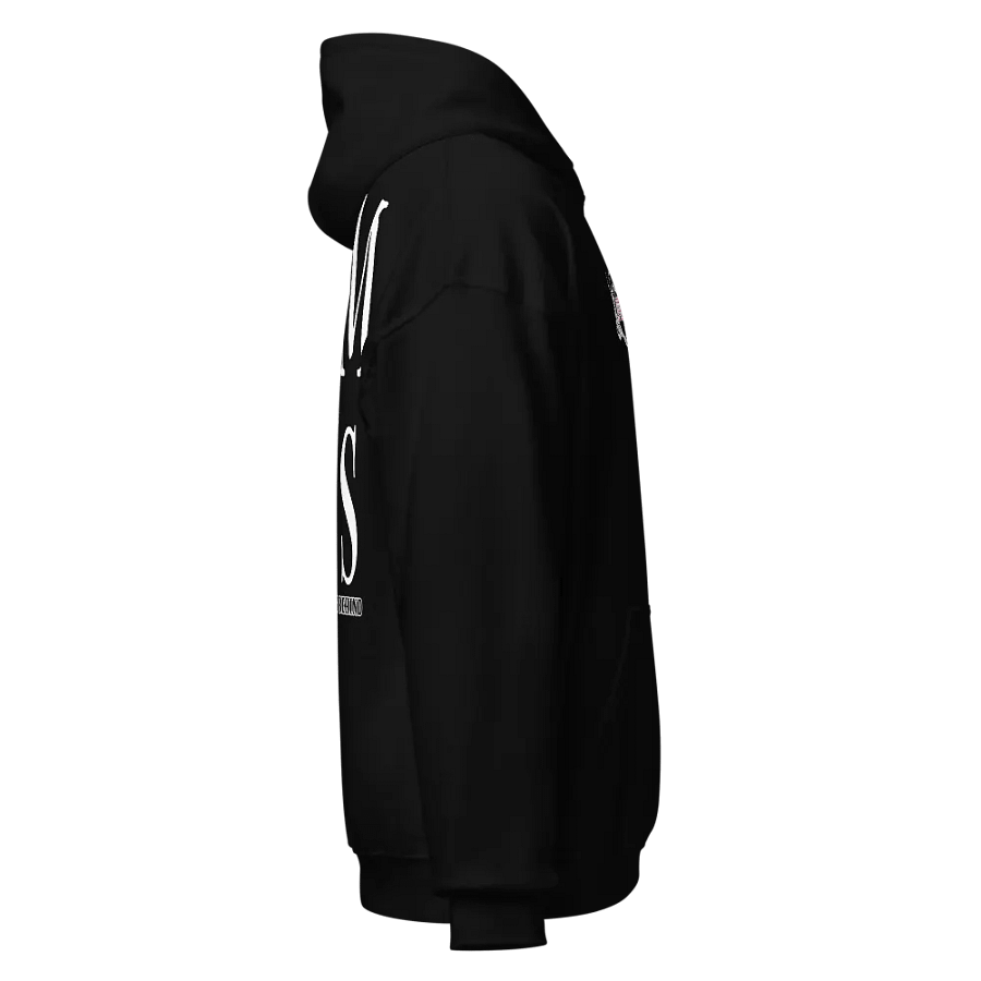 FEMME 2s | HOODIE | FRONT EMBROIDER | SKELE BACK product image (8)