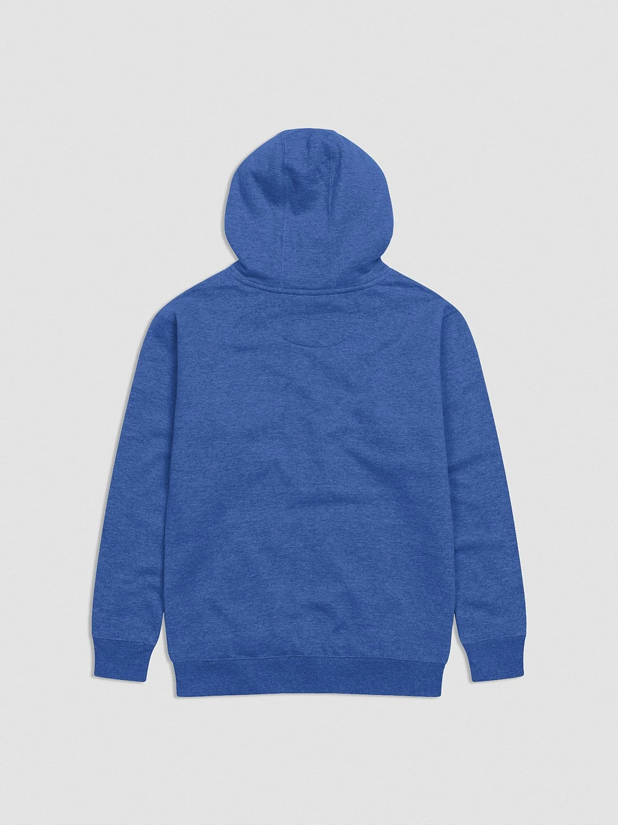 Concieted Embroidered Hoodie F&E1 product image (3)