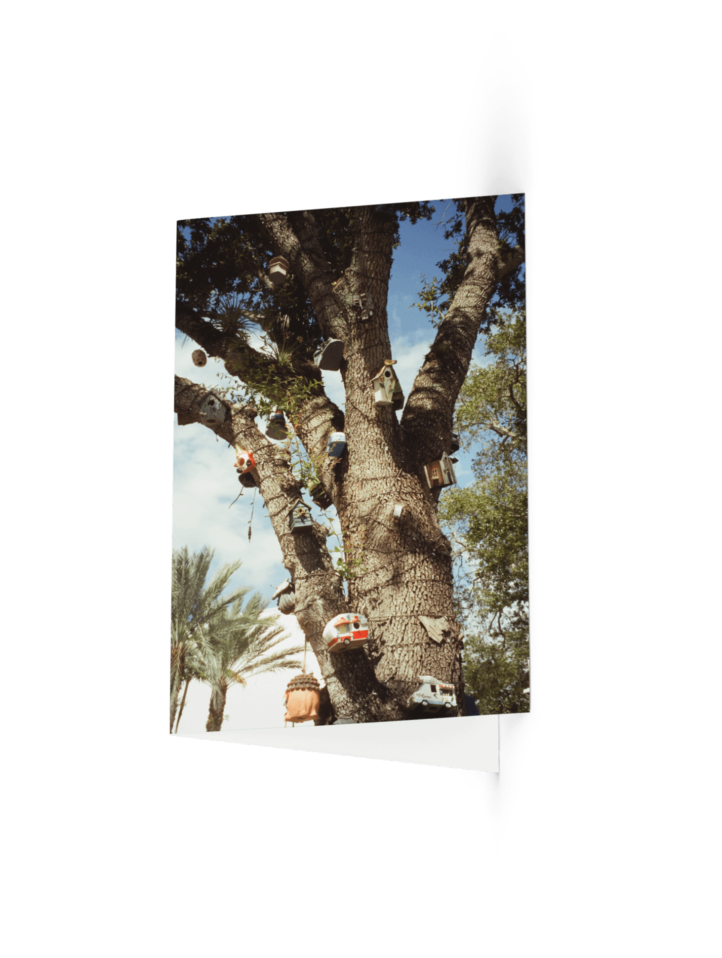 Kitsch "Postcard" product image (1)