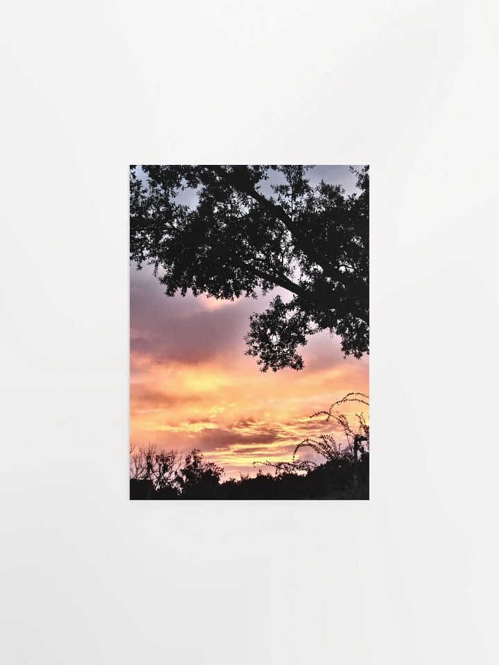 Florida Sunset 3 product image (3)