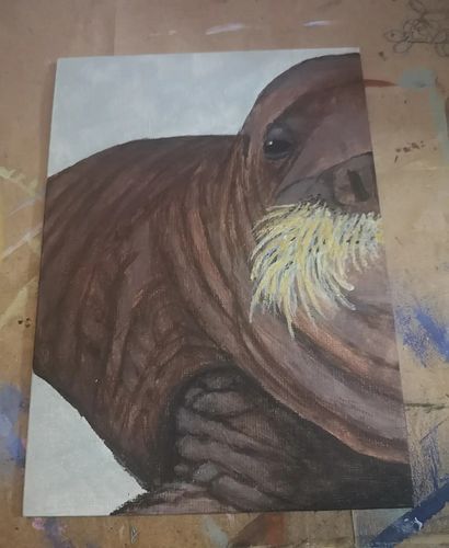 Baby walrus!