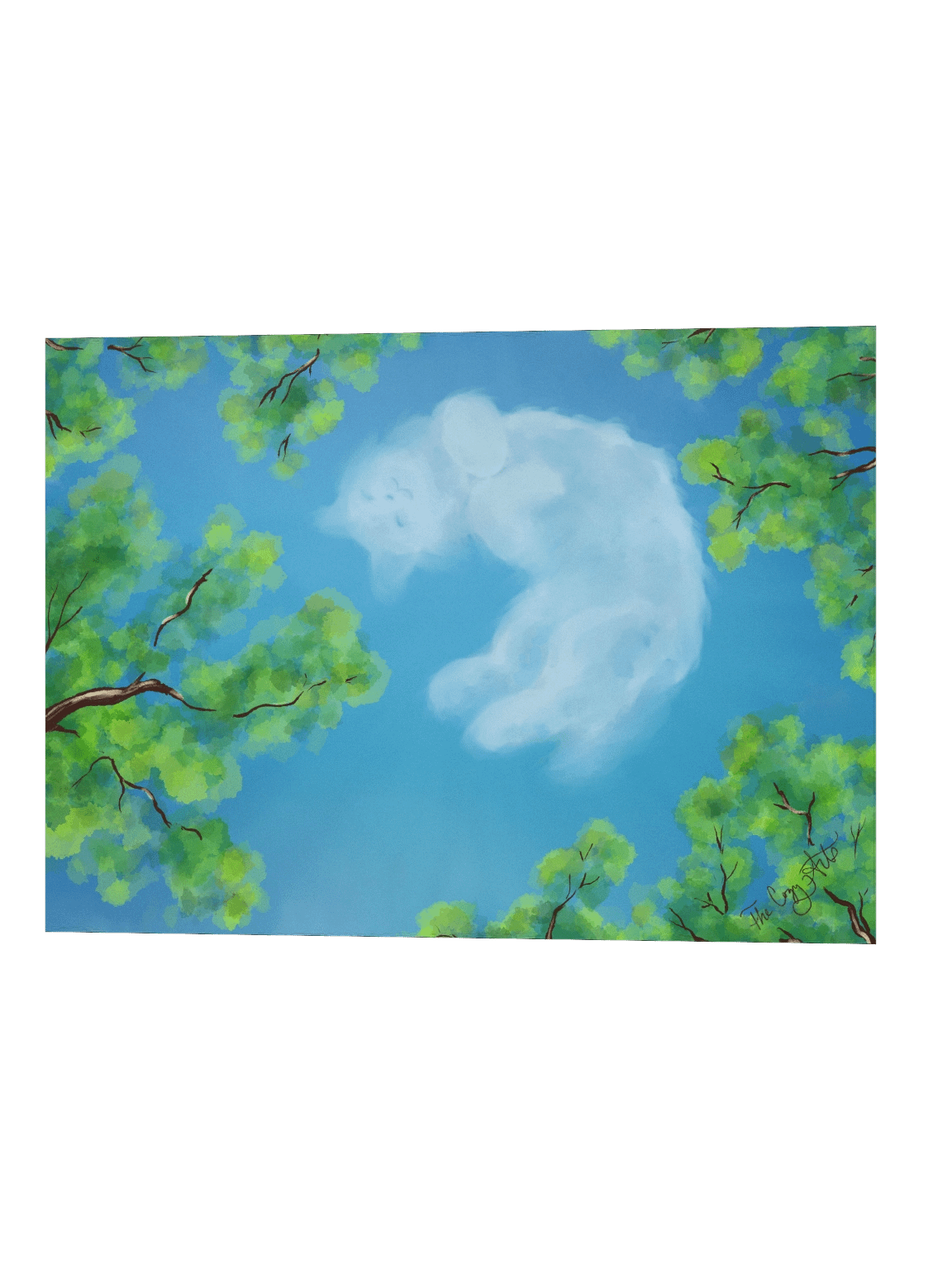 All We See Is Sky product image (25)